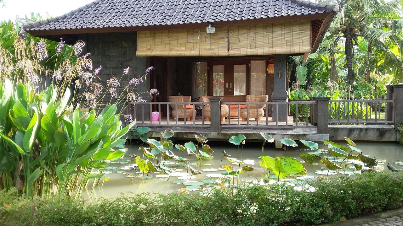 Natural Lodge 2 Selemadeg  Luaran gambar