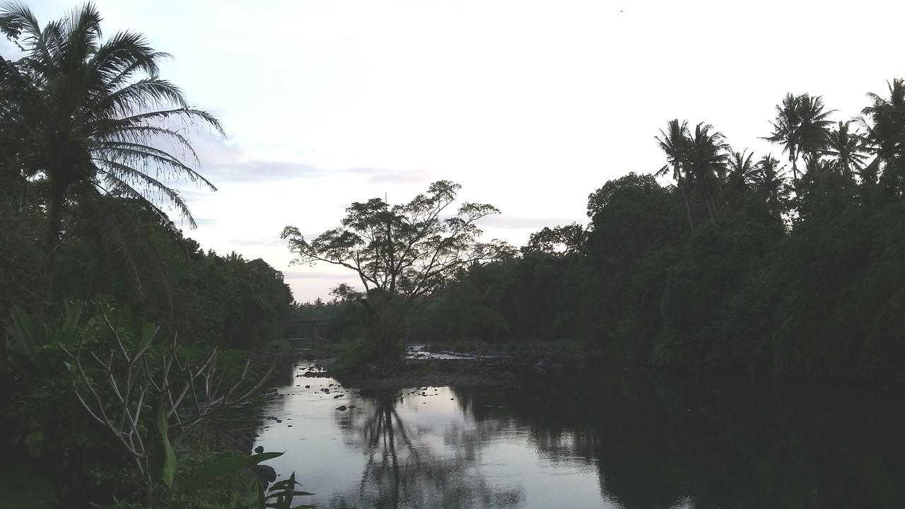 Natural Lodge 2 Selemadeg  Luaran gambar